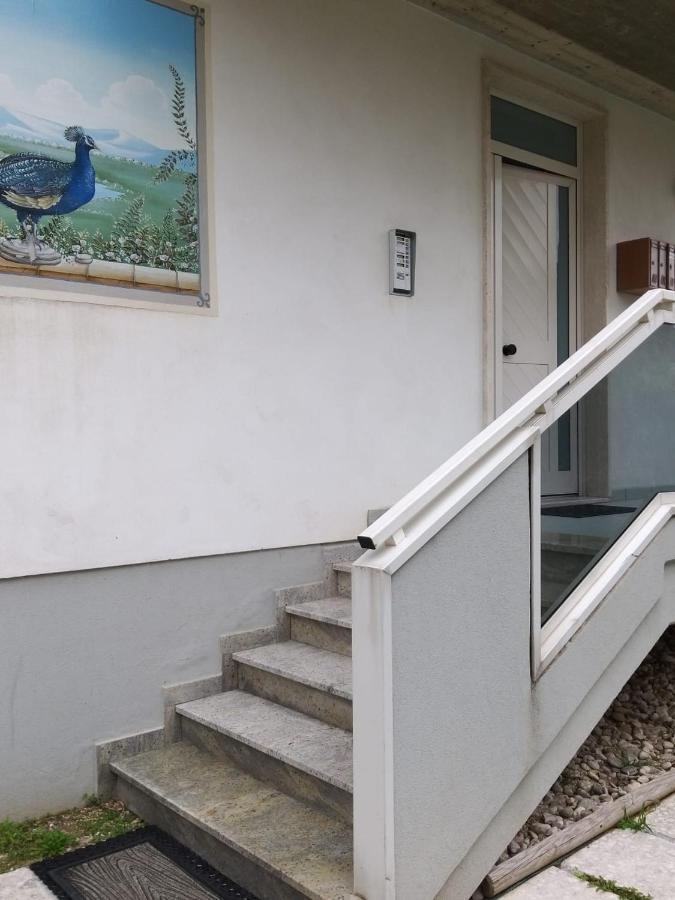 Stella 1 Apartamento Roseto Degli Abruzzi Exterior foto